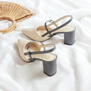 Women's summer new style pointed toe sandals, trendy high heels with open back and chunky heel, perfect for pairing with skirts.