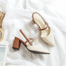 Women's summer new style pointed toe sandals, trendy high heels with open back and chunky heel, perfect for pairing with skirts.